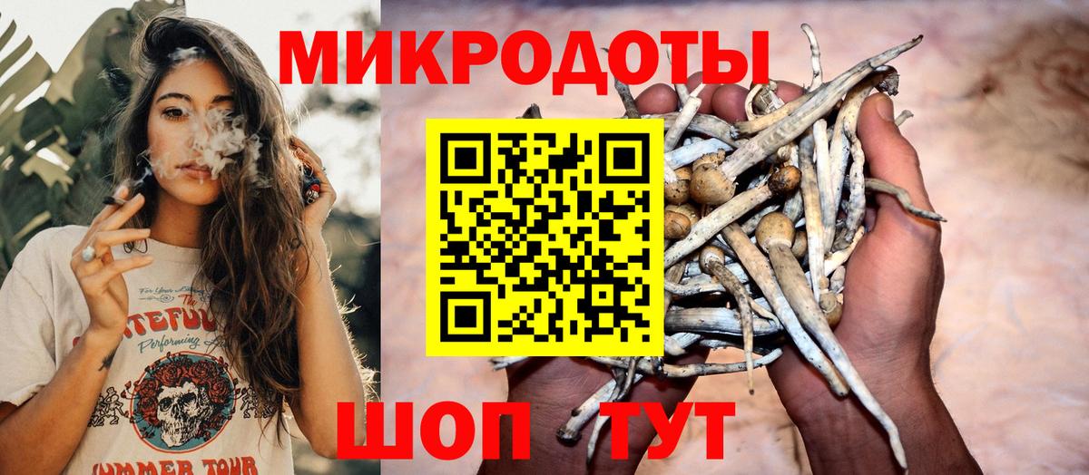 Псилоцибиновые грибы Psilocybine cubensis Ачхой-Мартан